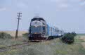 CFR 80 0427 + 5 CFR coaches as passenger train P 2685 (Timisoara Nord, RO - Sannicolau Mare, RO) at Dudestii Noi Hm (RO) on 13 June 2002