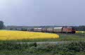 DB Cargo 232 415 + freight train from Niesky (BRD) to Horka Gbf (BRD) at Horka (BRD) on 11 May 2002