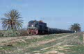SNCFT GE DN-311 + phosphate train from Sfax to Metlaoui at Mahres on 2 March 2003