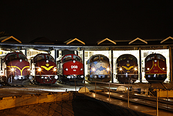 From left to right: CFL Cargo MY 1146, JBM MY 1101, JBM MY 1112, MY Veterantog MY 1126, JBM MX 1001, Altmark Rail MY 1155 at Odense (DK) on 6 September 2014.