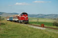 BDZ 55.054 + 3 BDZ coaches as train Ord 60213 (Pernik, BG - Kjustendil, BG) at Priboy (BG), 25 June 2005.